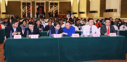 开云app下载官方网站
